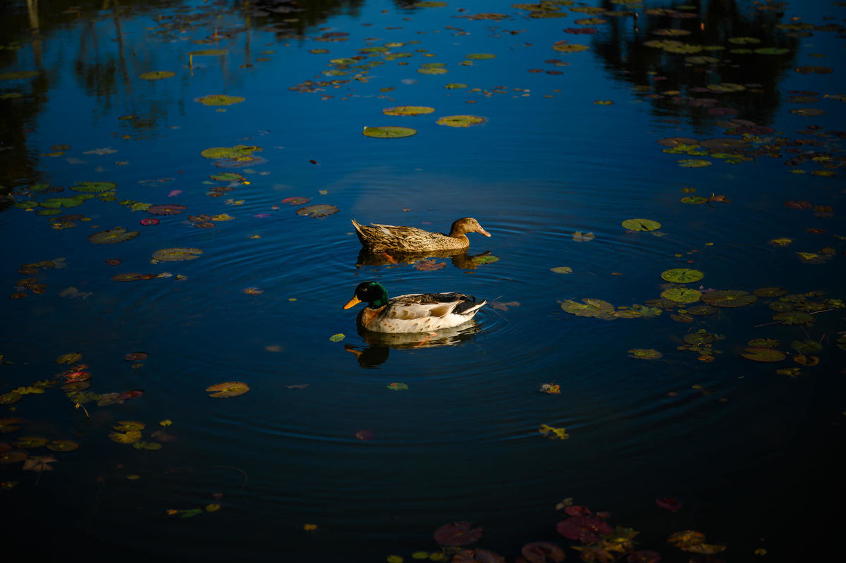 Ensaio de família no Vale dos Ventos em meio à natureza