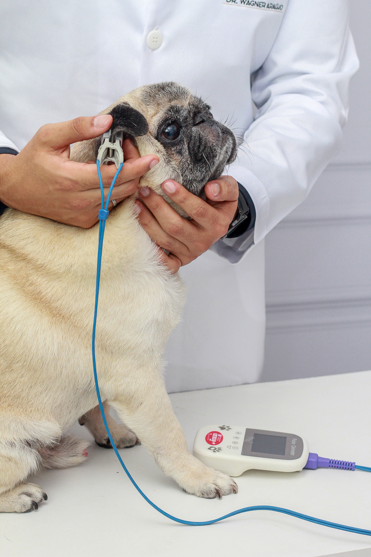 DR.WAGNER ARAÚJO CARDIOLOGISTA E PNEUMONOLOGISTA -VET