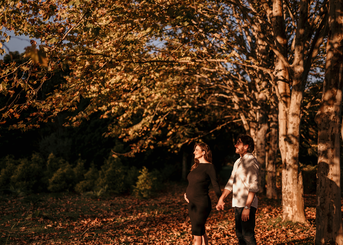 parque das araucarias