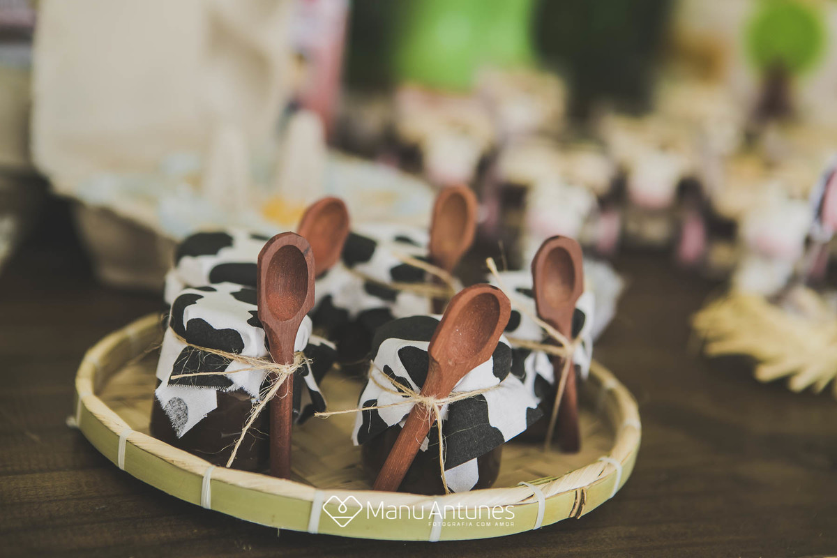 decoração de vaquinha