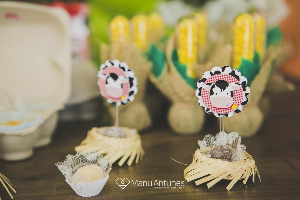 decoração de fazenda