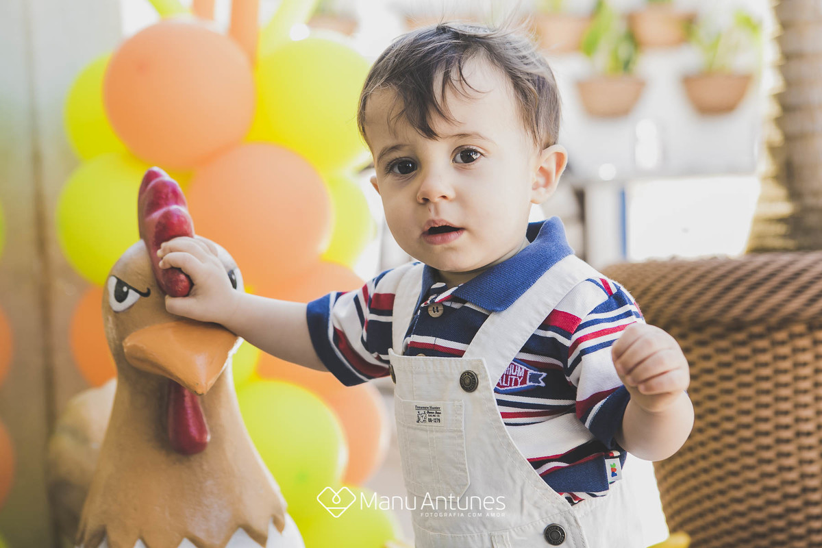 decoração de galinha