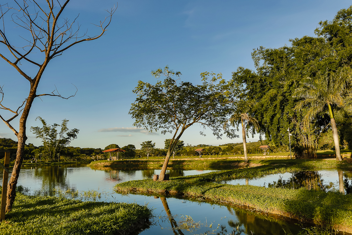 fotografia de natureza