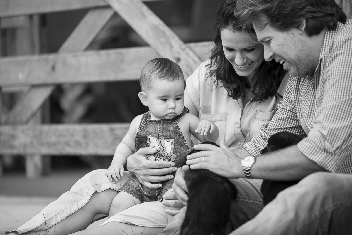 criança brincando com cachorro