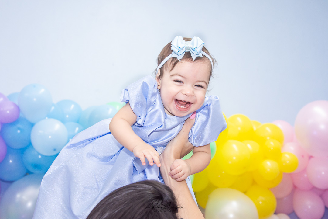 Festa 1 ano Ursinhos Carinhosos RJ