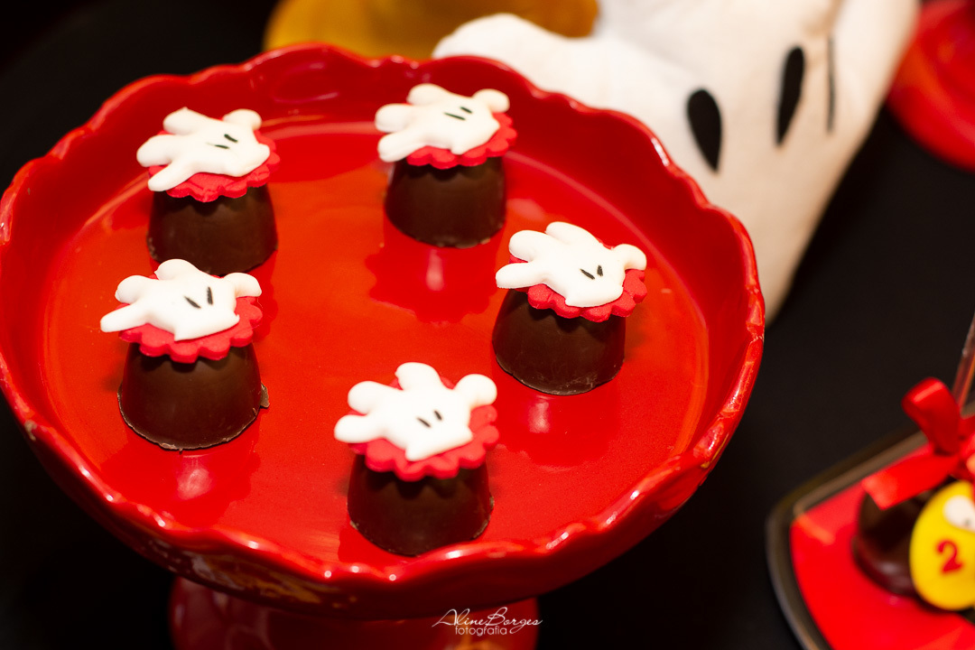 Fotografo festa infantil Mickey