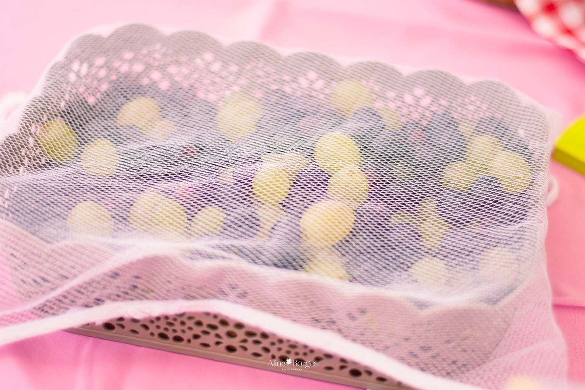 fotografia festa infantil piquenique na Quinta da  Boa Vista rj