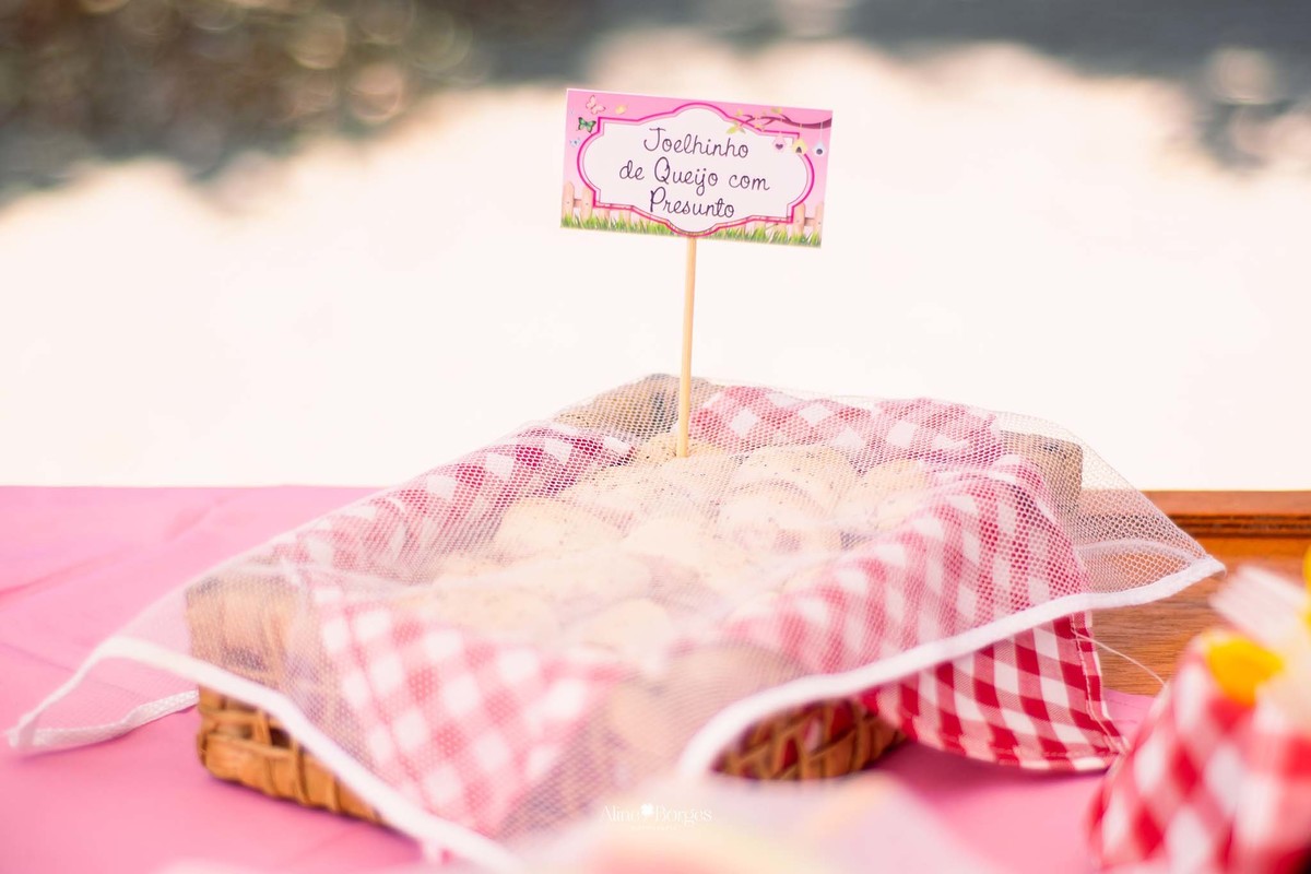 fotografia festa infantil piquenique na Quinta da  Boa Vista rj