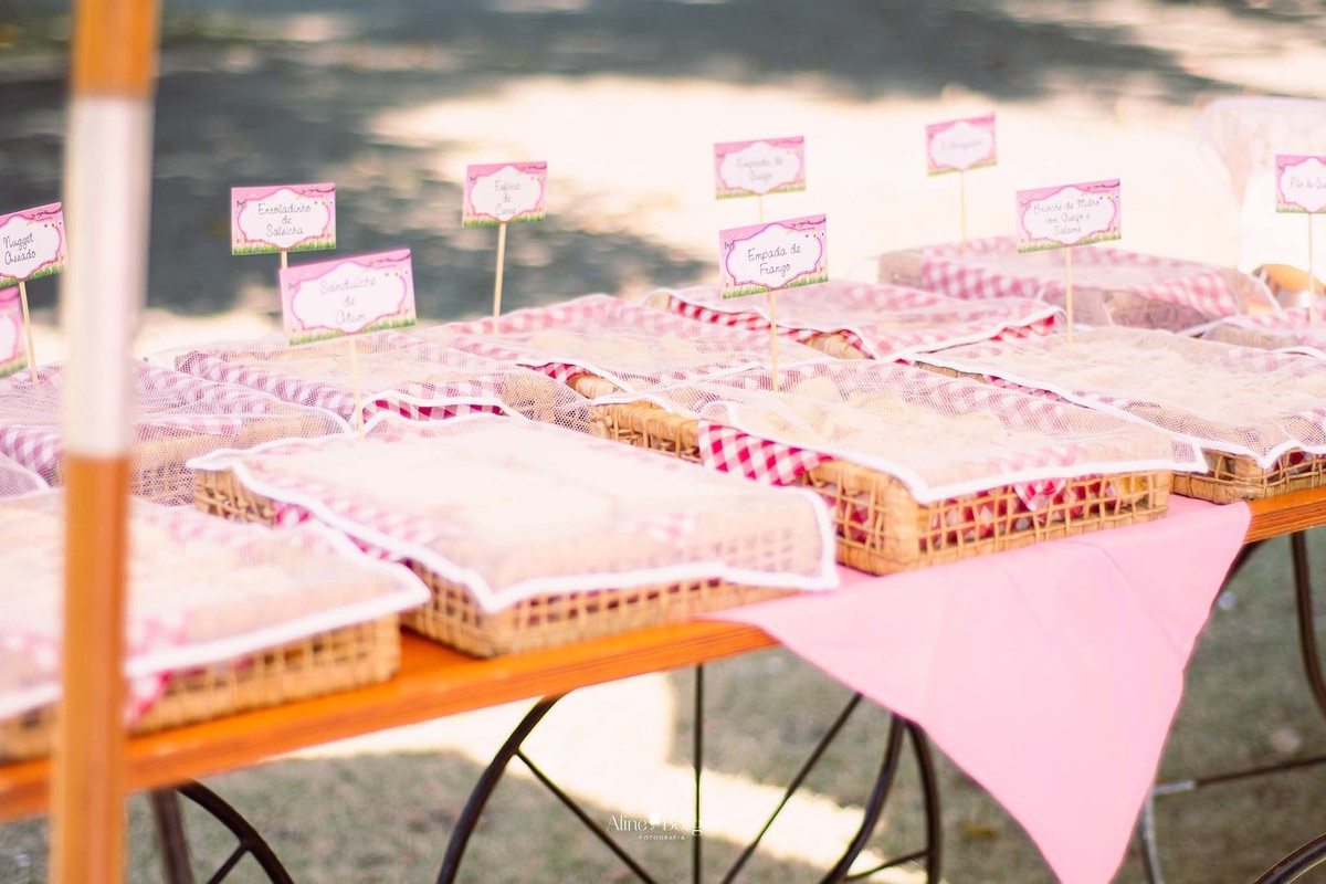 fotografia festa infantil piquenique na Quinta da  Boa Vista rj