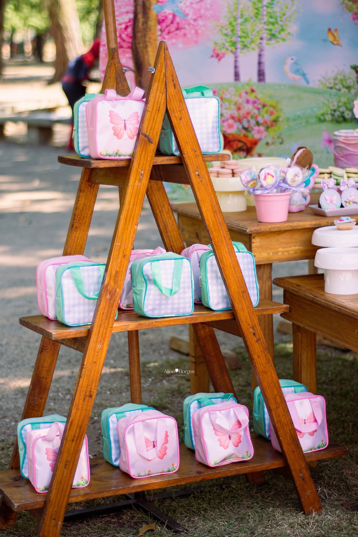 fotografia festa infantil piquenique na Quinta da  Boa Vista rj