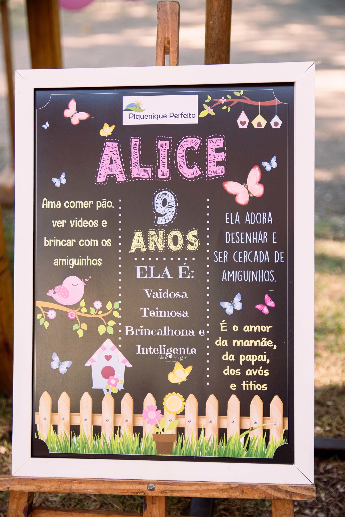 fotografia festa infantil piquenique na Quinta da  Boa Vista rj