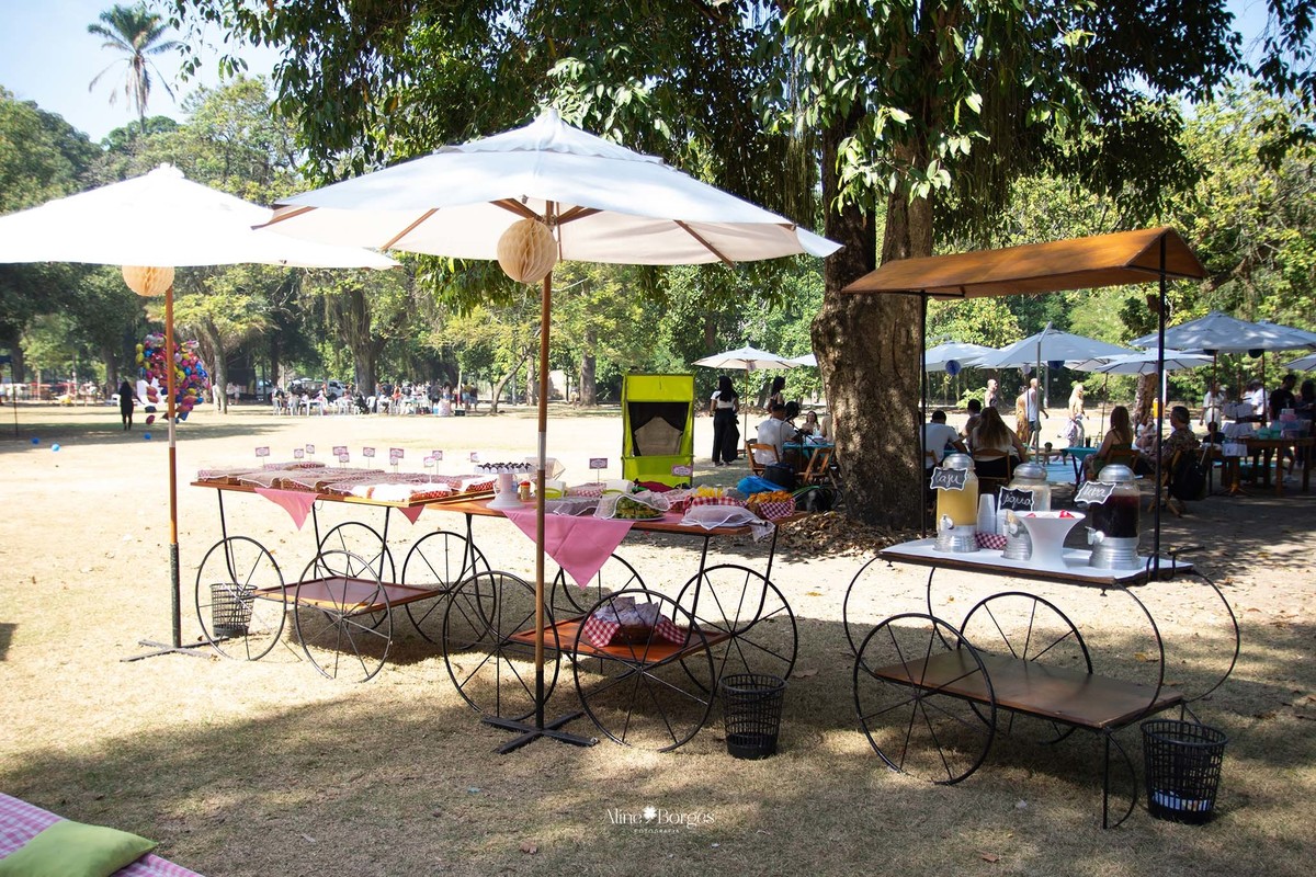 fotografia festa infantil piquenique na Quinta da  Boa Vista rj