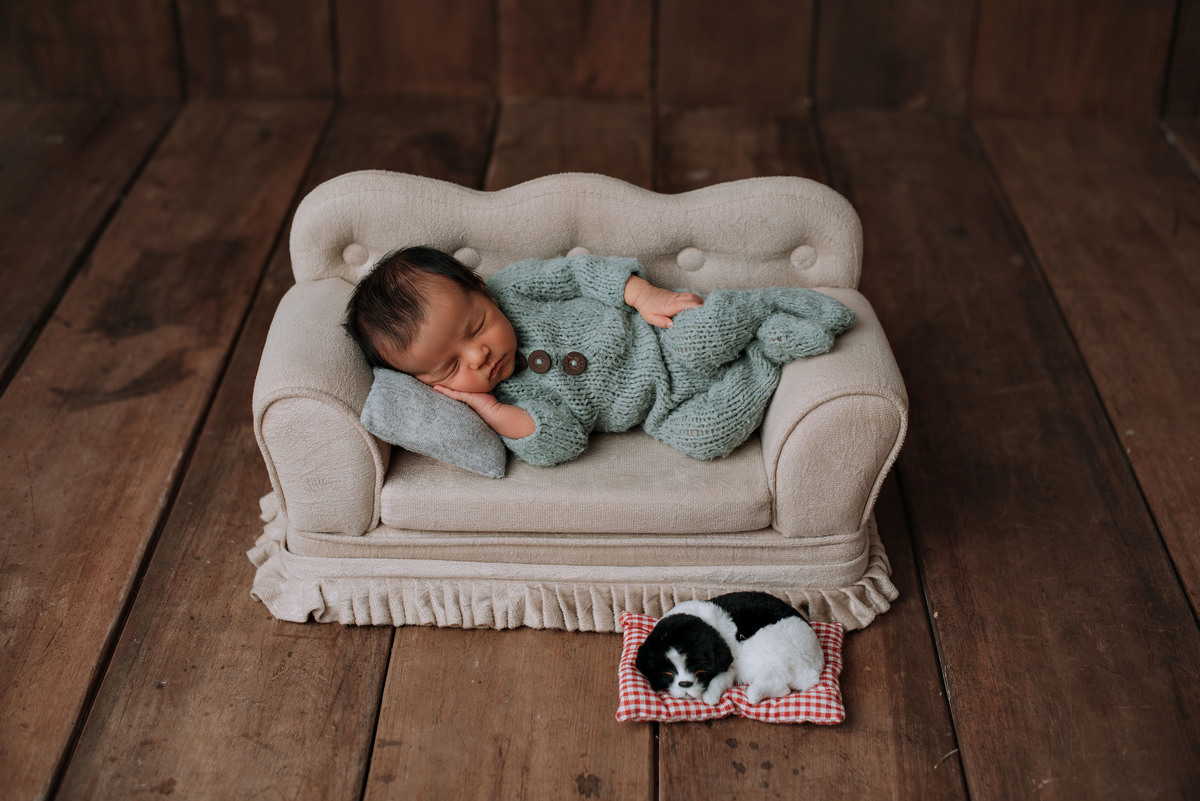 ensaio estúdio, sessão newborn menino no sofá com cachorrinho. Akleine fotografias Imperatriz MA