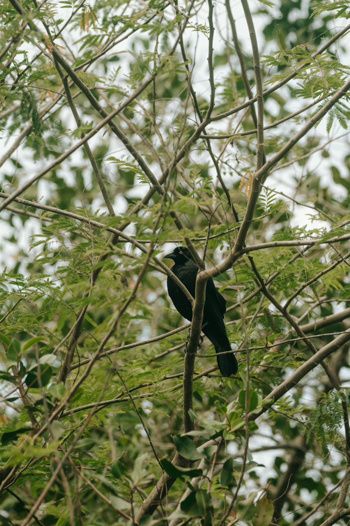 Participantes de retiro de yoga em contato com a natureza em Ubatuba