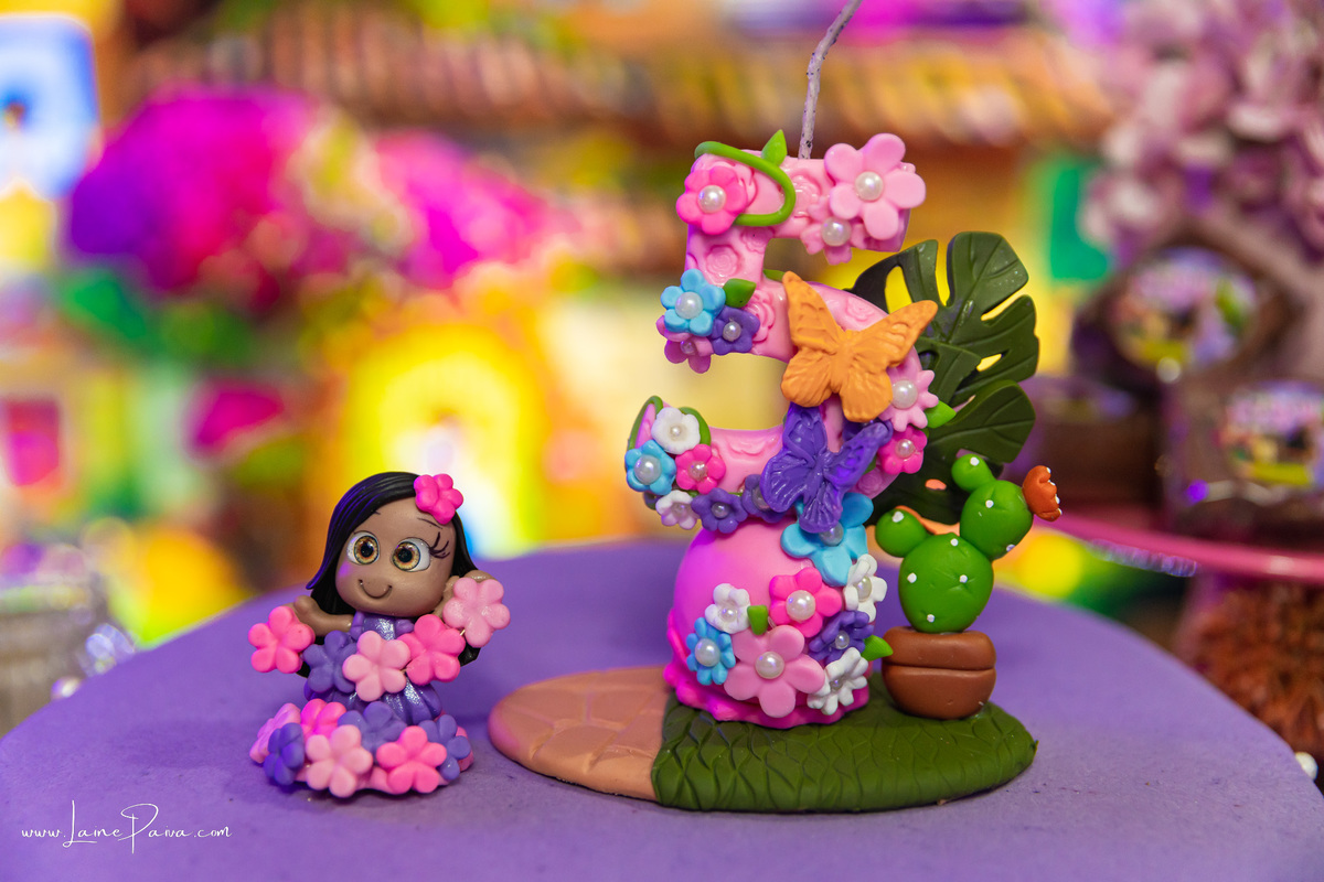 aniversario de 5 anos infantil de menina tema filme da Disney Encanto no condominio green club 3 em parnamirim - natal - fotografo infantil - foto aniversario fotografia em nata decoração