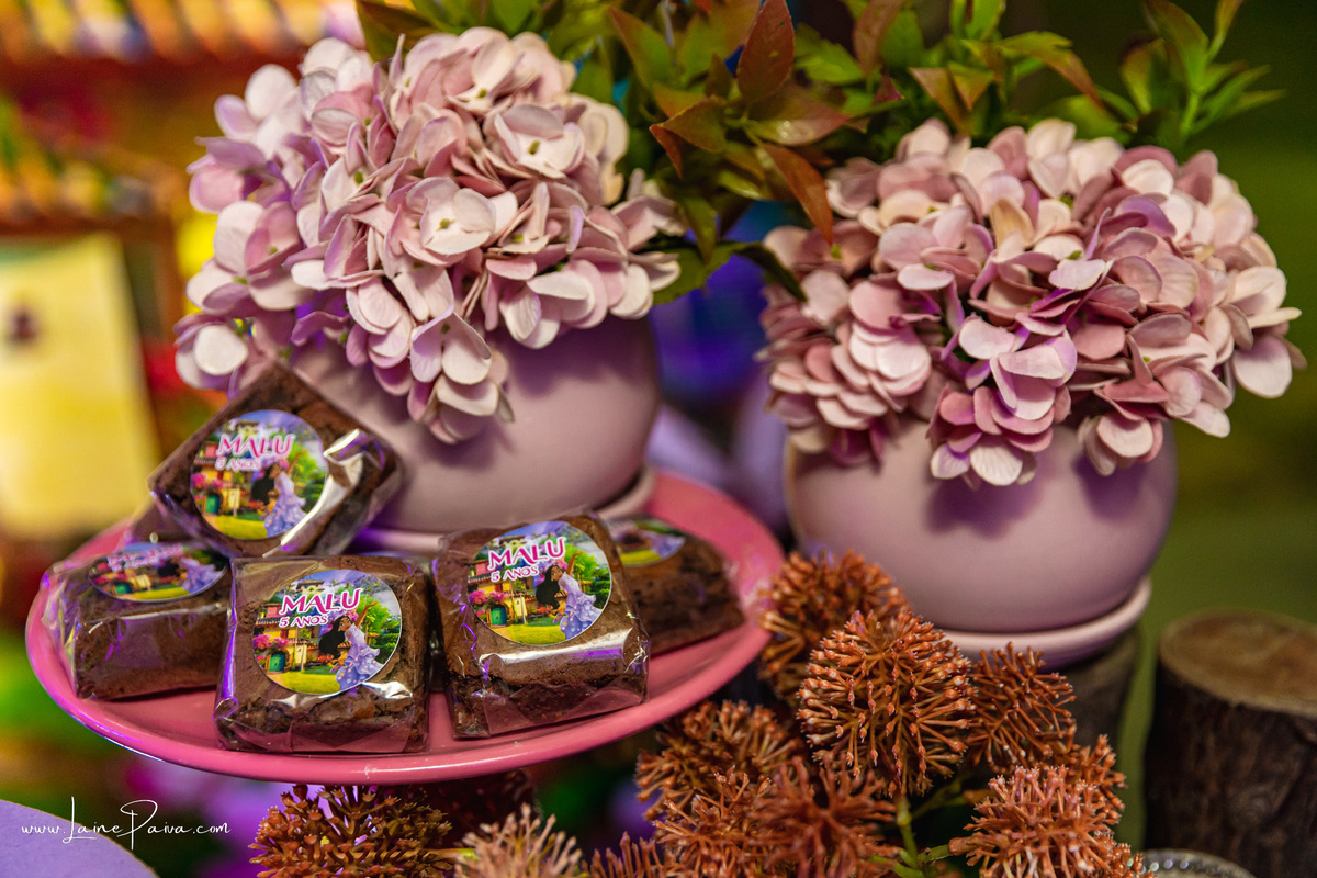 aniversario de 5 anos infantil de menina tema filme da Disney Encanto no condominio green club 3 em parnamirim - natal - fotografo infantil - foto aniversario fotografia em nata decoração