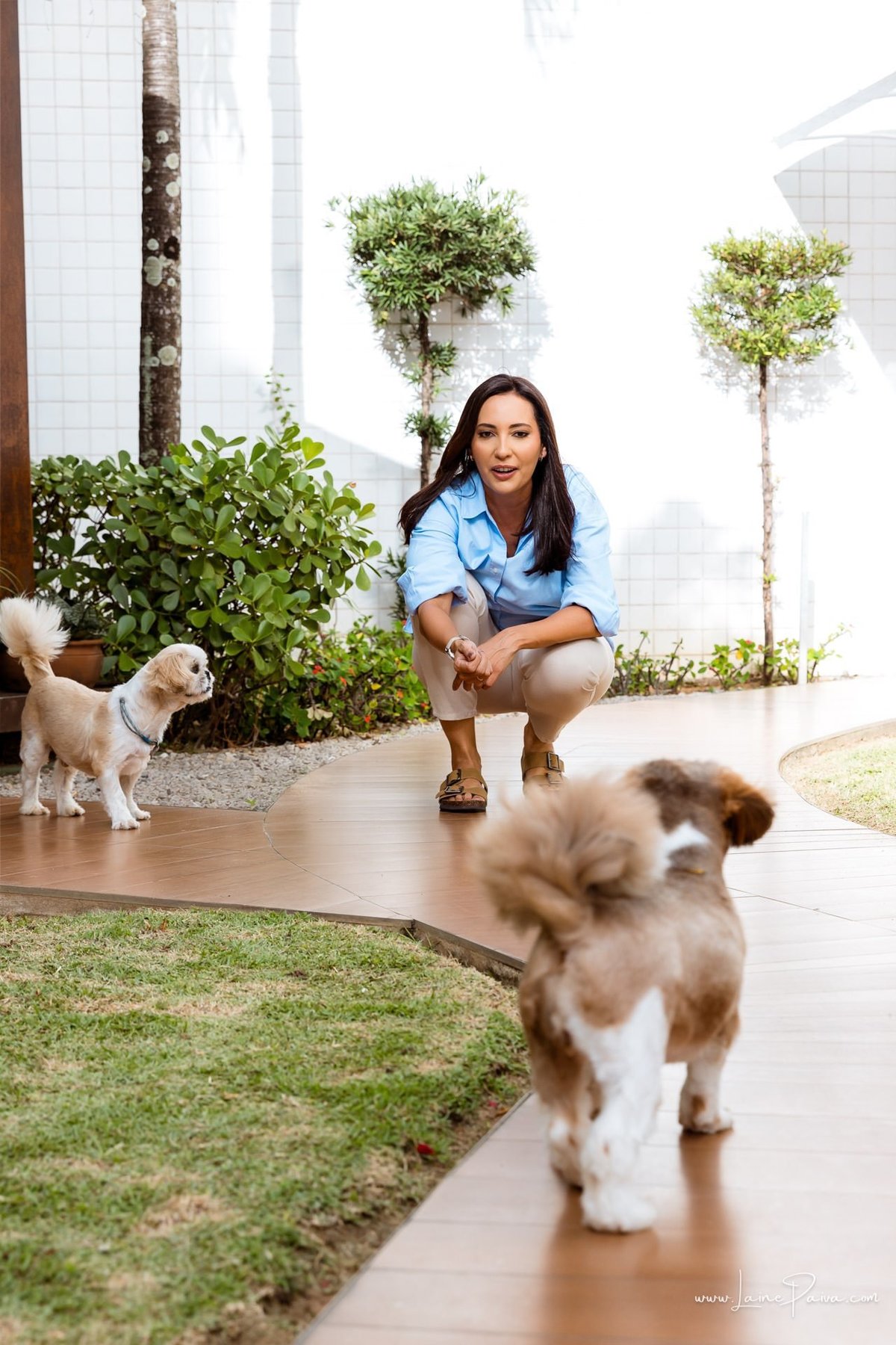 ensaio em casa, ensaio com pet, ensaio familia, cachorro, pet, pet lover, natal, ahead, condominio, fotografia de familia, fotografo em natal, foto em casa, fim de tarde, amor, animal de estimação, maltes, ShihTzu
