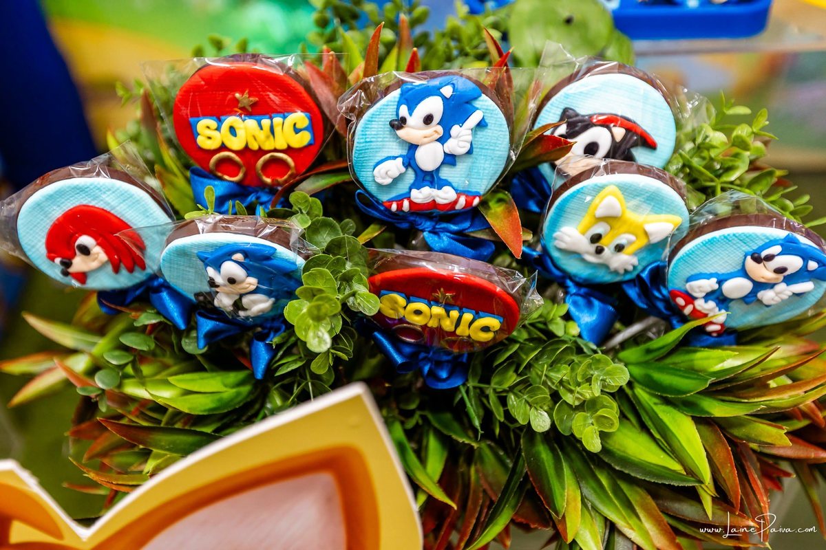 fotografia de Aniversario infantil, festa de 4 anos de Bernardo no Viva Park de Ponta Negra em Natal, com tema Sonic, brincadeiras, piscina de bolinhas, cama elásticas, diversão para as crianças e muito carinho de familiares e amigos, fotografo infantil