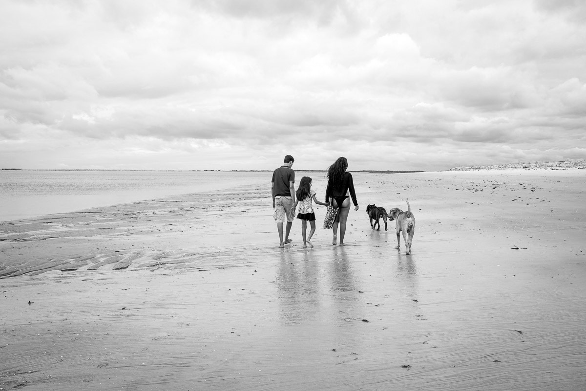 familia caminhando com cachorros na praia