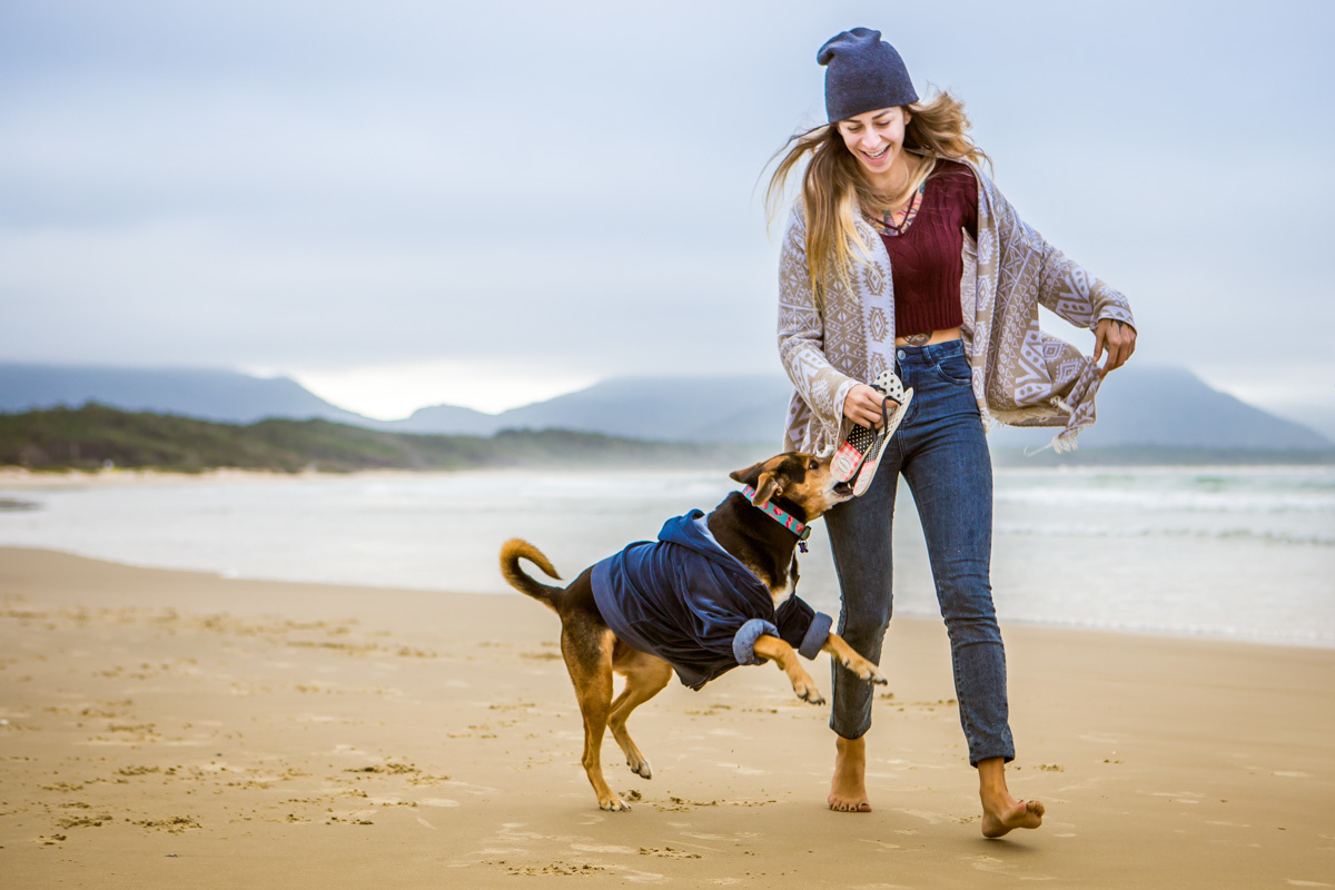 Cachorra brincando na praia e querendo morder chinela da dona