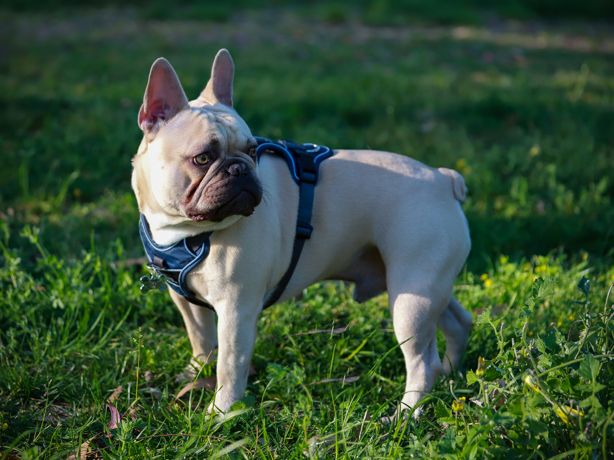 agendademocoespt_fotografia_sessao namoro_in love