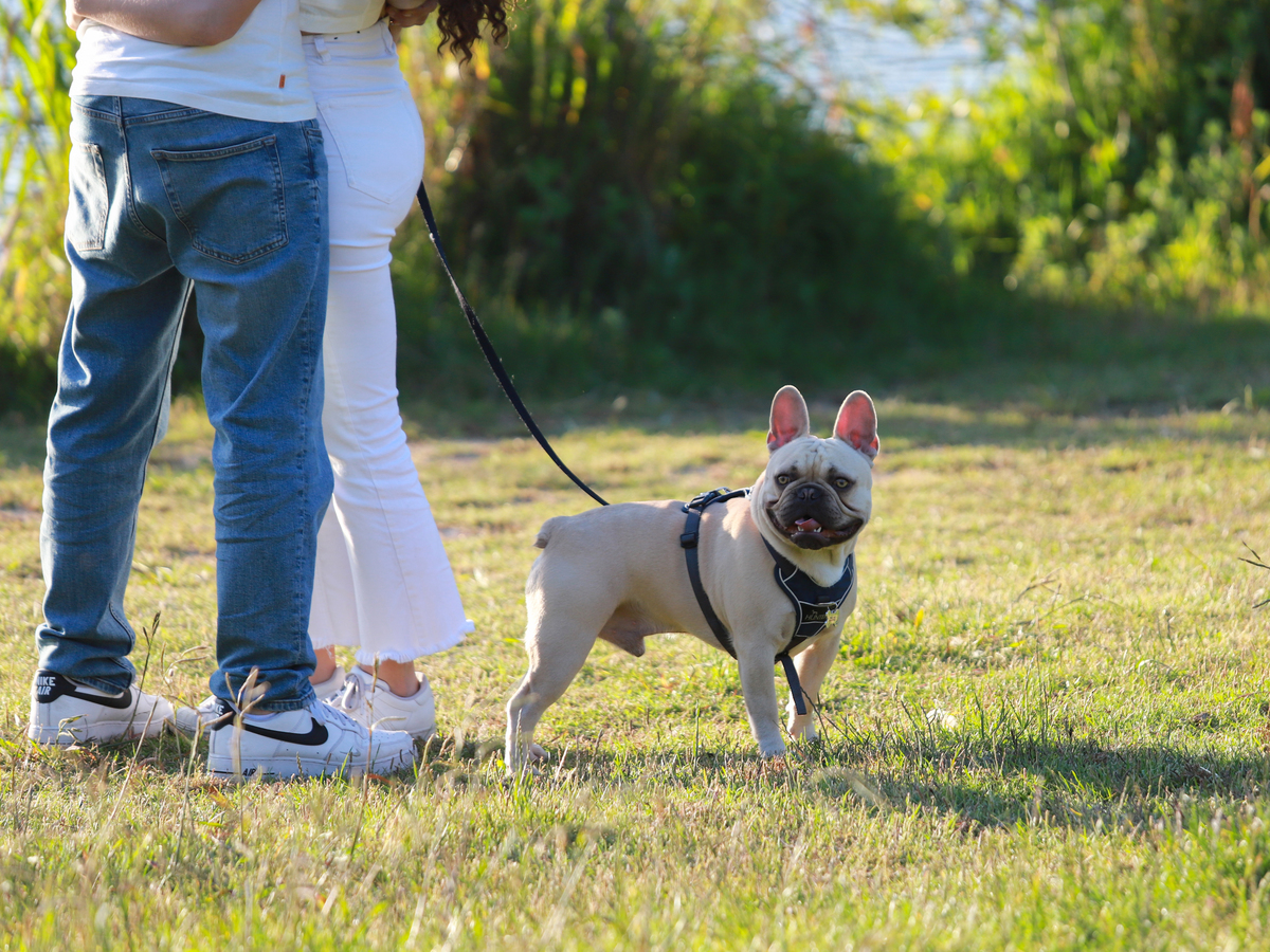 agendademocoespt_fotografia_sessao namoro_in love