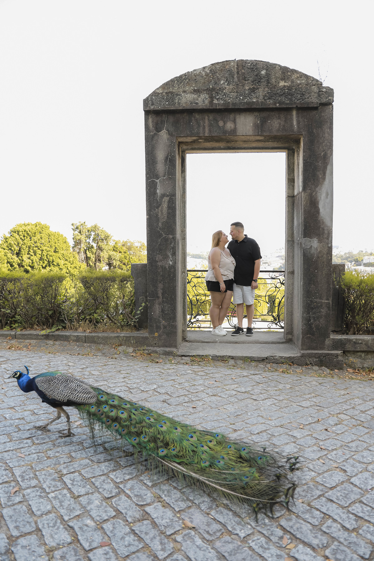 agendademocoespt_fotografia_sessao namoro_in love