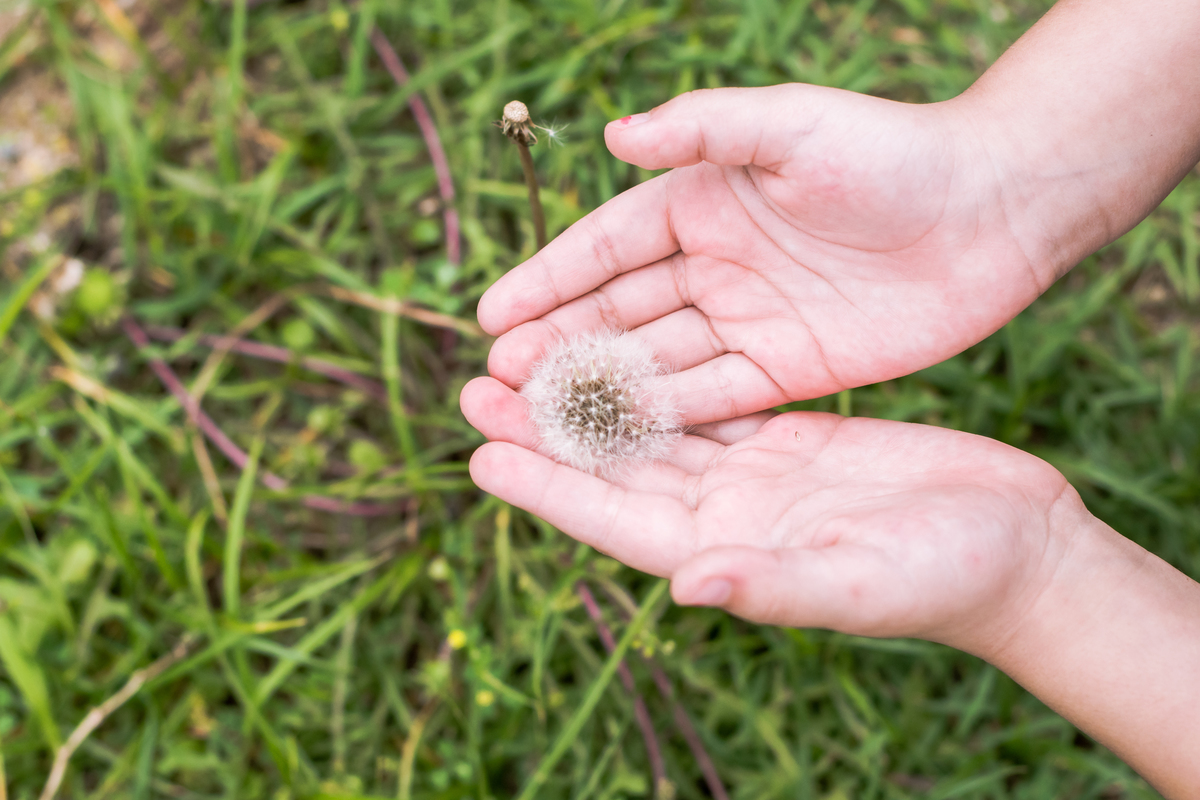 Ensaio Infantil Maria Clara