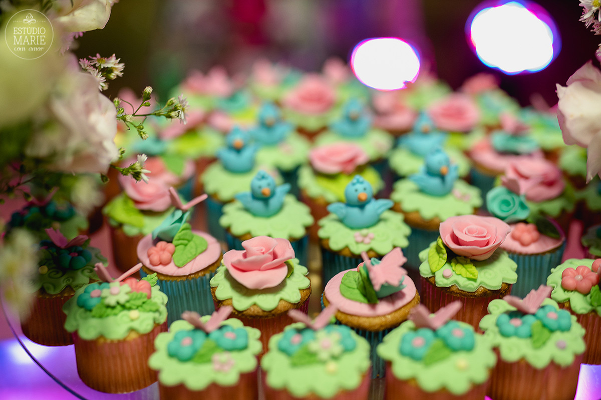 festa infantil menina passarinhos fofa