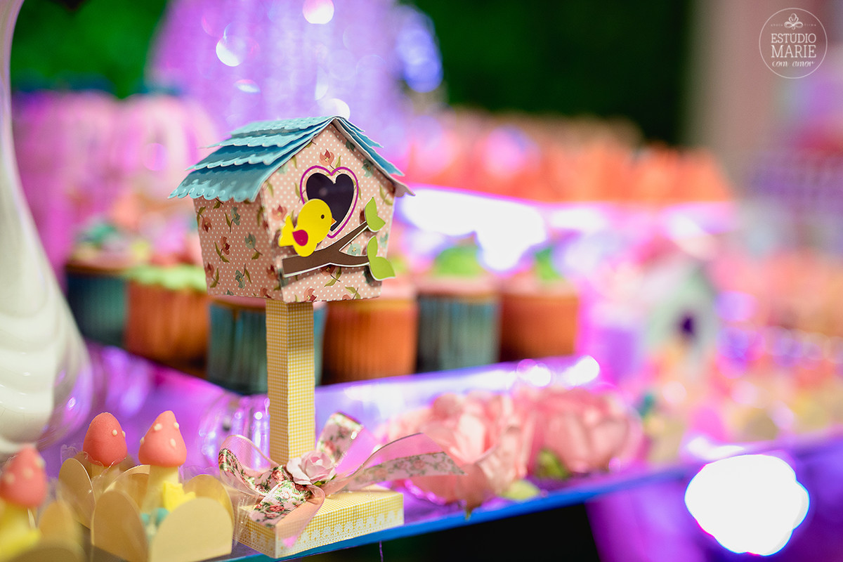 festa infantil menina passarinhos fofa