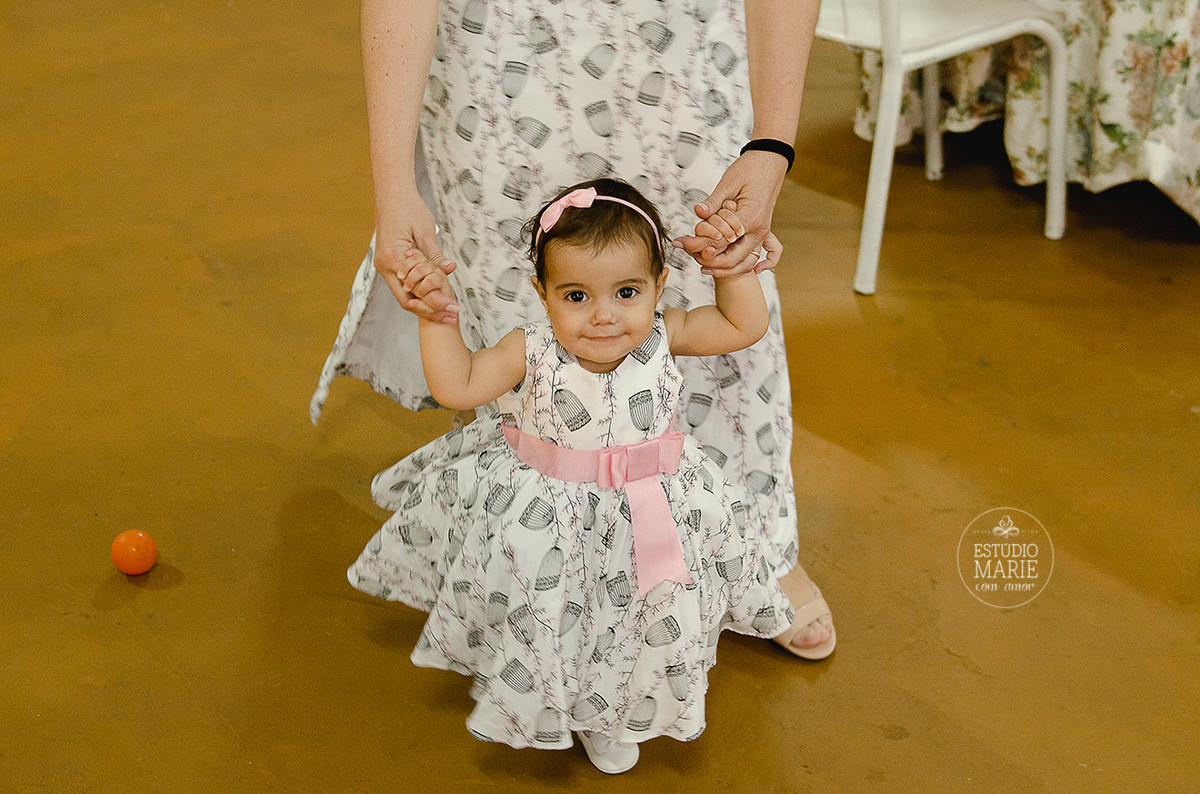 festa infantil menina passarinhos fofa