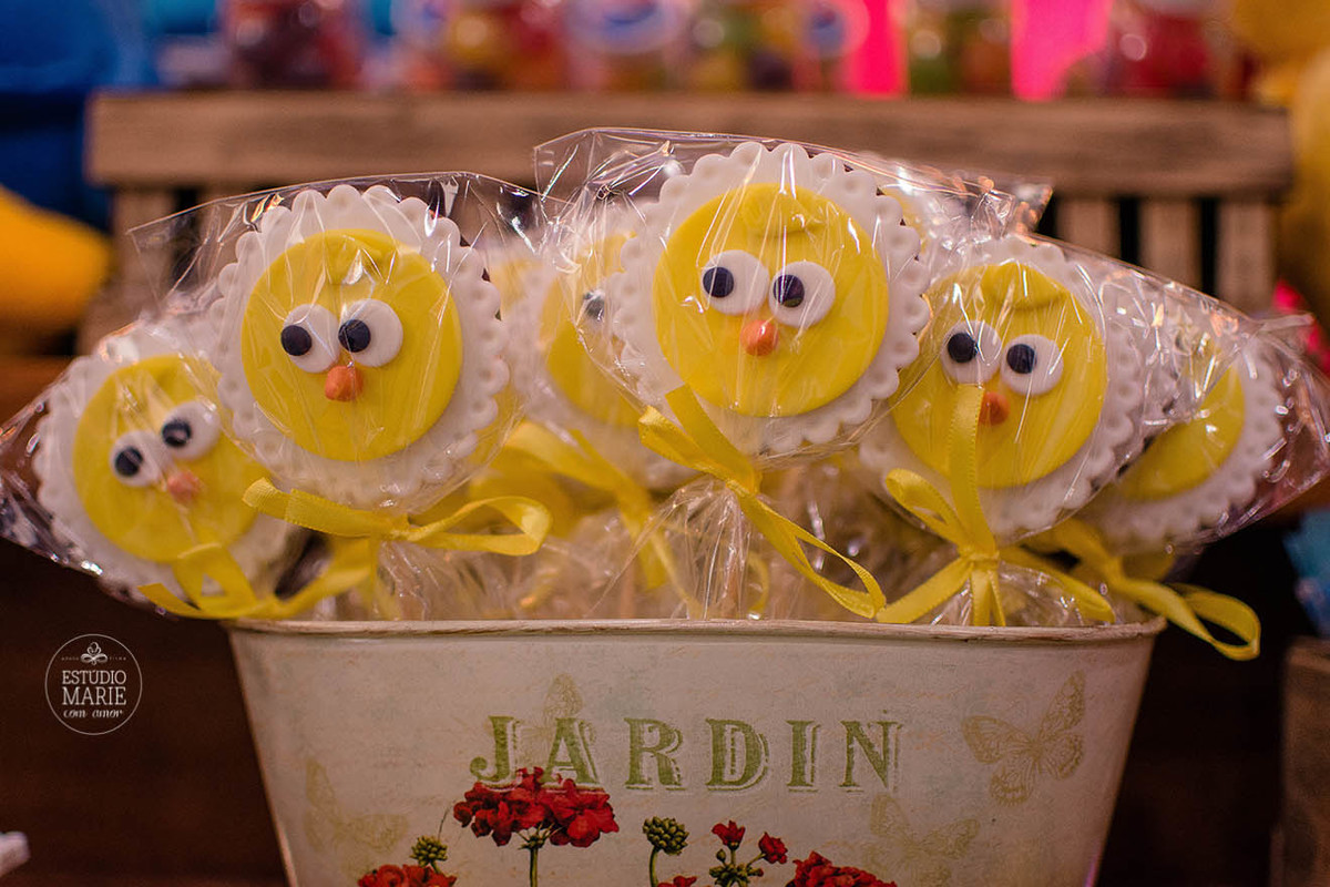 niver galinha pintadinha