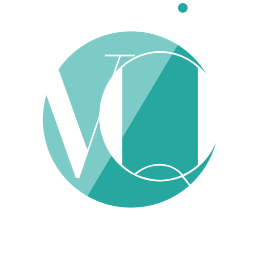 Logotipo de Vinicius Queiroz