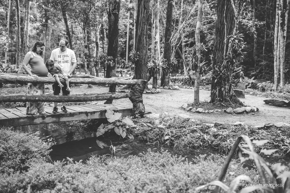 ensaio, gestante, gestação, book, grávida, família, floresta da tijuca, ensaio externo, ensaio fotográfico