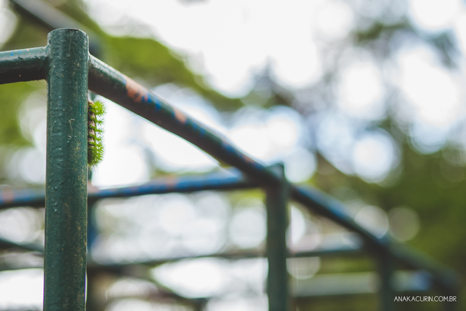 ensaio, gestante, gestação, book, grávida, família, floresta da tijuca, ensaio externo, ensaio fotográfico, trepa trepa, parquinho, lagarta
