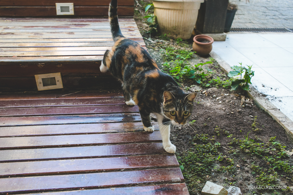 Parto natural domiciliar de Helena, filha de Clarissa Ornellas Bagno e Felipe Bagno, fotografado por Ana Kacurin no Rio de Janeiro.