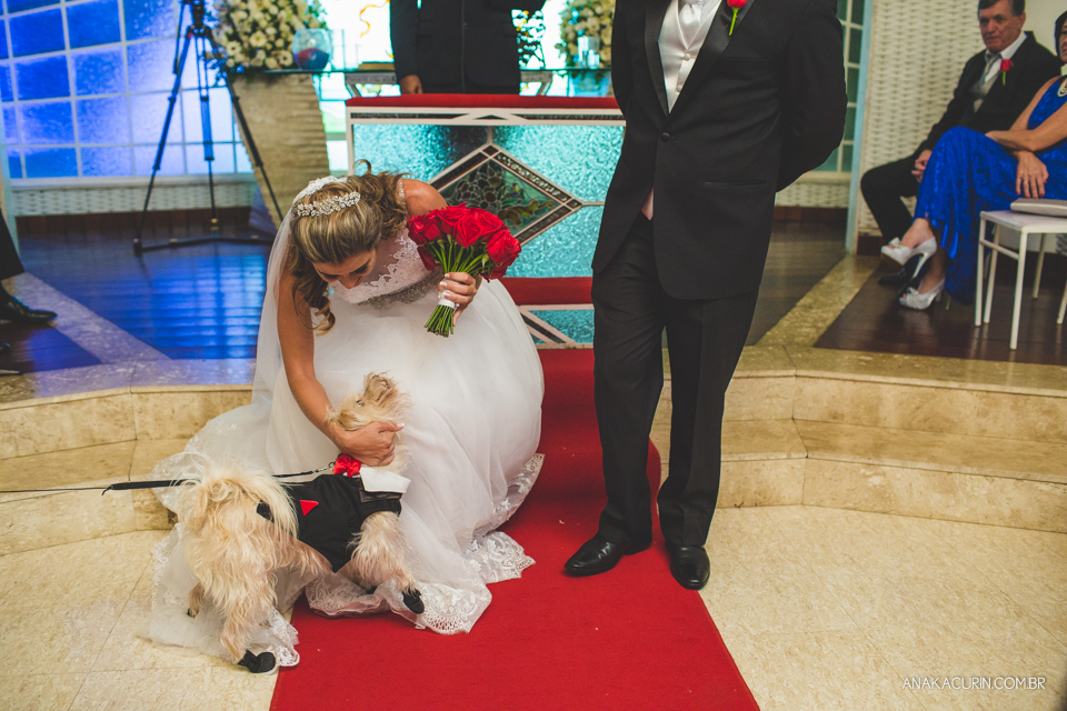 casamento, casório, wedding, fotografia de casamento, laís, junior, laço de ouro, bem assessorados, kim derick filmes, ana kacurin, recanto dos sonhos, sheraton, radisson, preguiça, rio de janeiro, rj, brazil, cerimonia, ceremony, cão, cachorro, canine ri