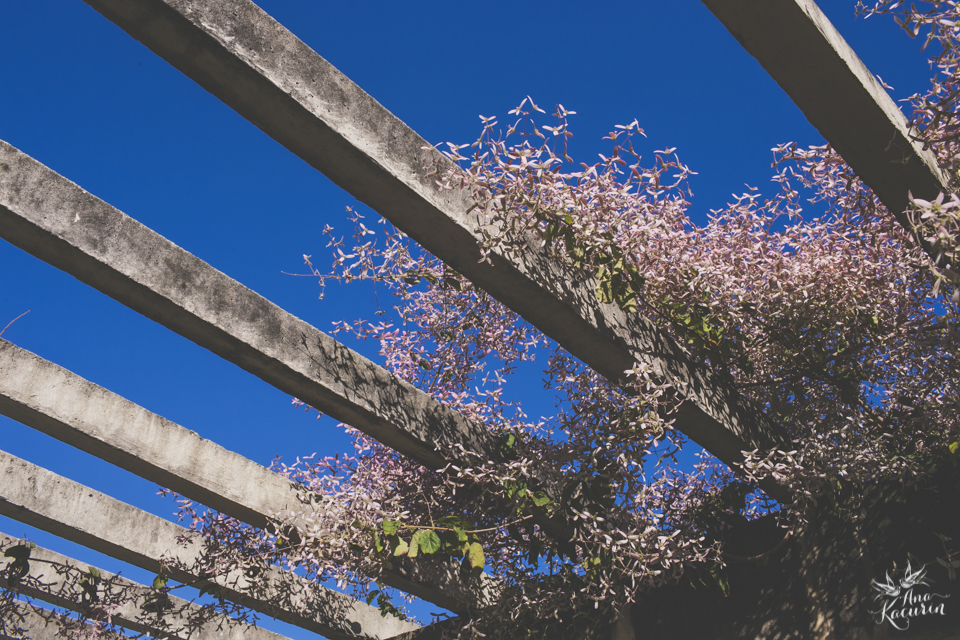 Ensaio de casal fotografado por Ana Kacurin no Parque dos PAtins na Lagoa Rodrigo de Freitas no Rio de Janeiro - RJ.