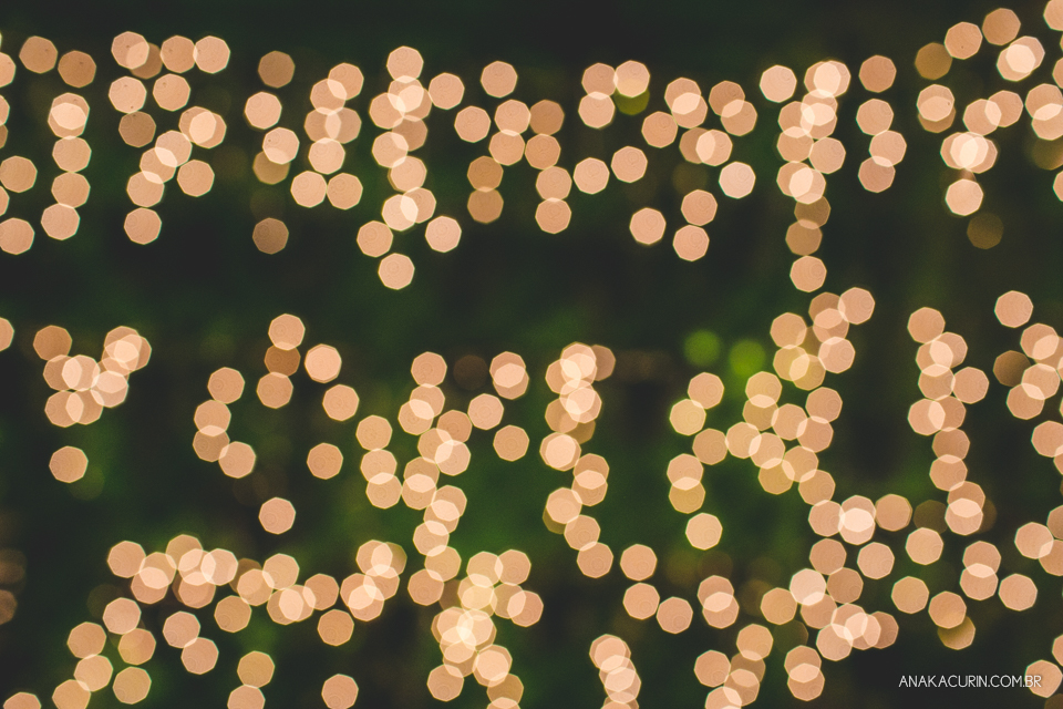 casamento, wedding, Cavist, casório, fotografia, fotógrafa, fotógrafa de casamento, noivas rj, noivas rio de janeiro, mini wedding, rio de janeiro, rj, gabrielle e jayme, ana kacurin, cerimônia