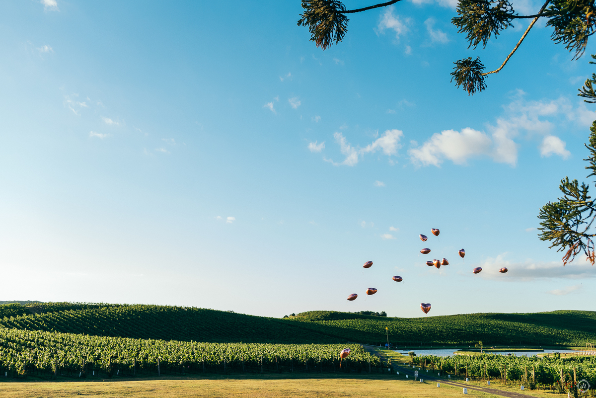 casamento na vinícola Luiz Argenta daniela radavelli fotografia casamento ao ar livre cerimonia externa de casamento casando na vinícola 