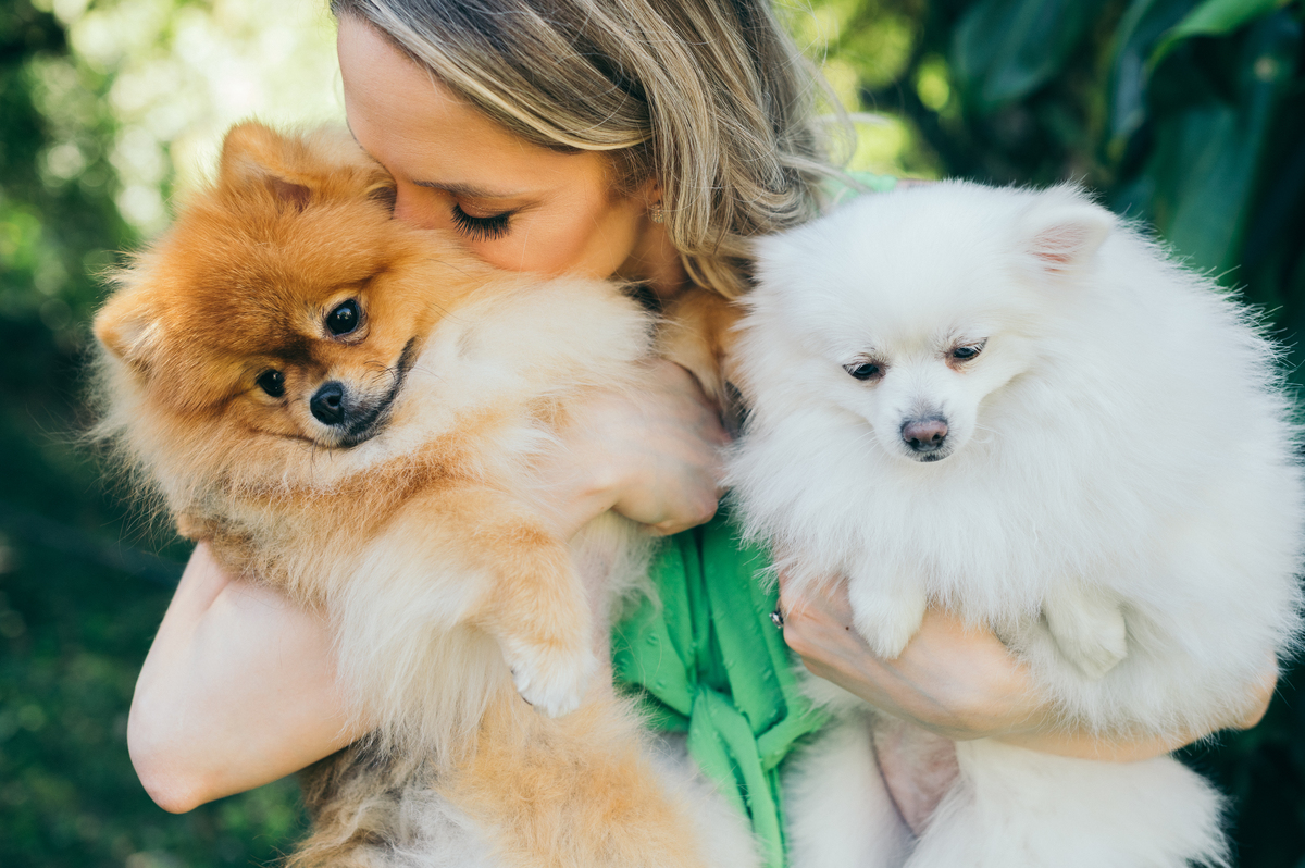 ensaio de casal pré wedding daniela radavelli fotografia lulu lovers ensaio com pet papais de pet
