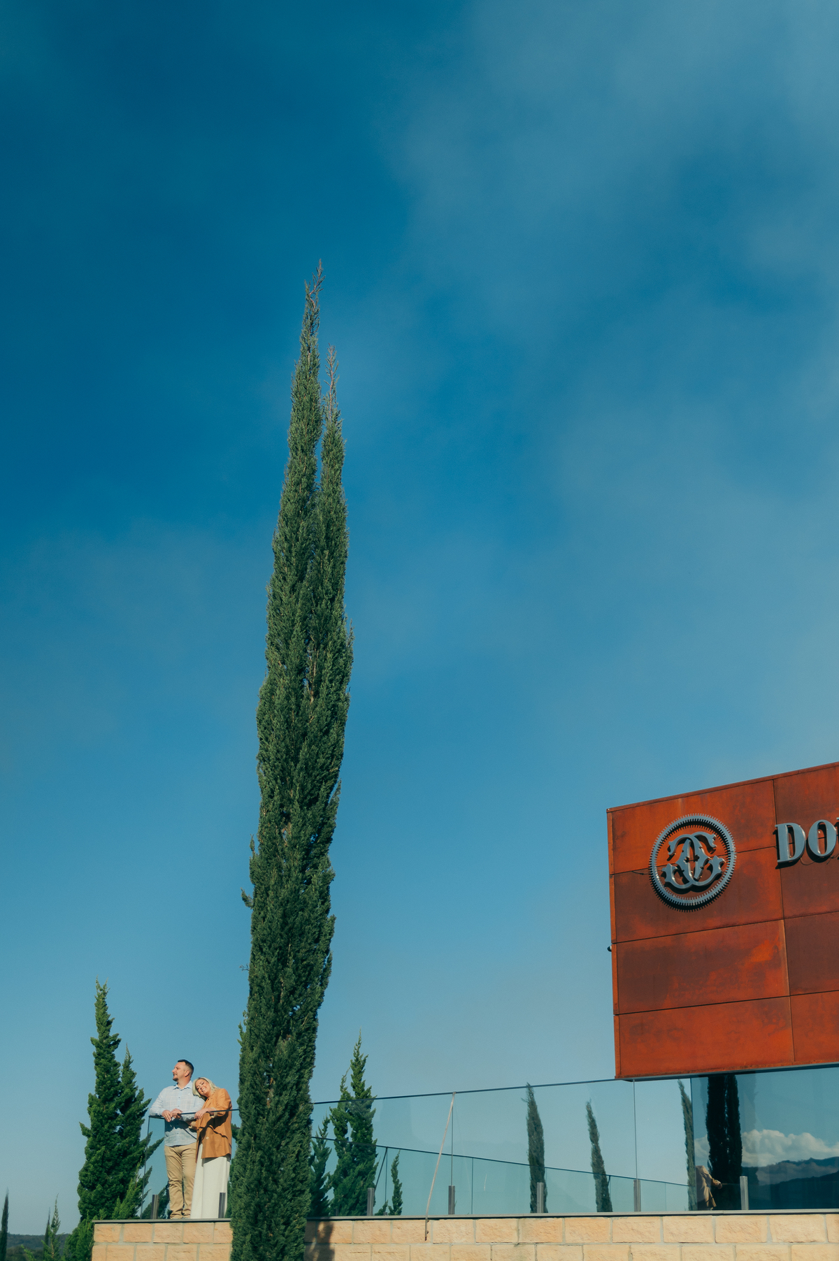 ensaio de casal, ensaio pré wedding daniela radavelli fotografia  vinícola don guerino fotografa na serra gaúcha fotógrafa de casamento 