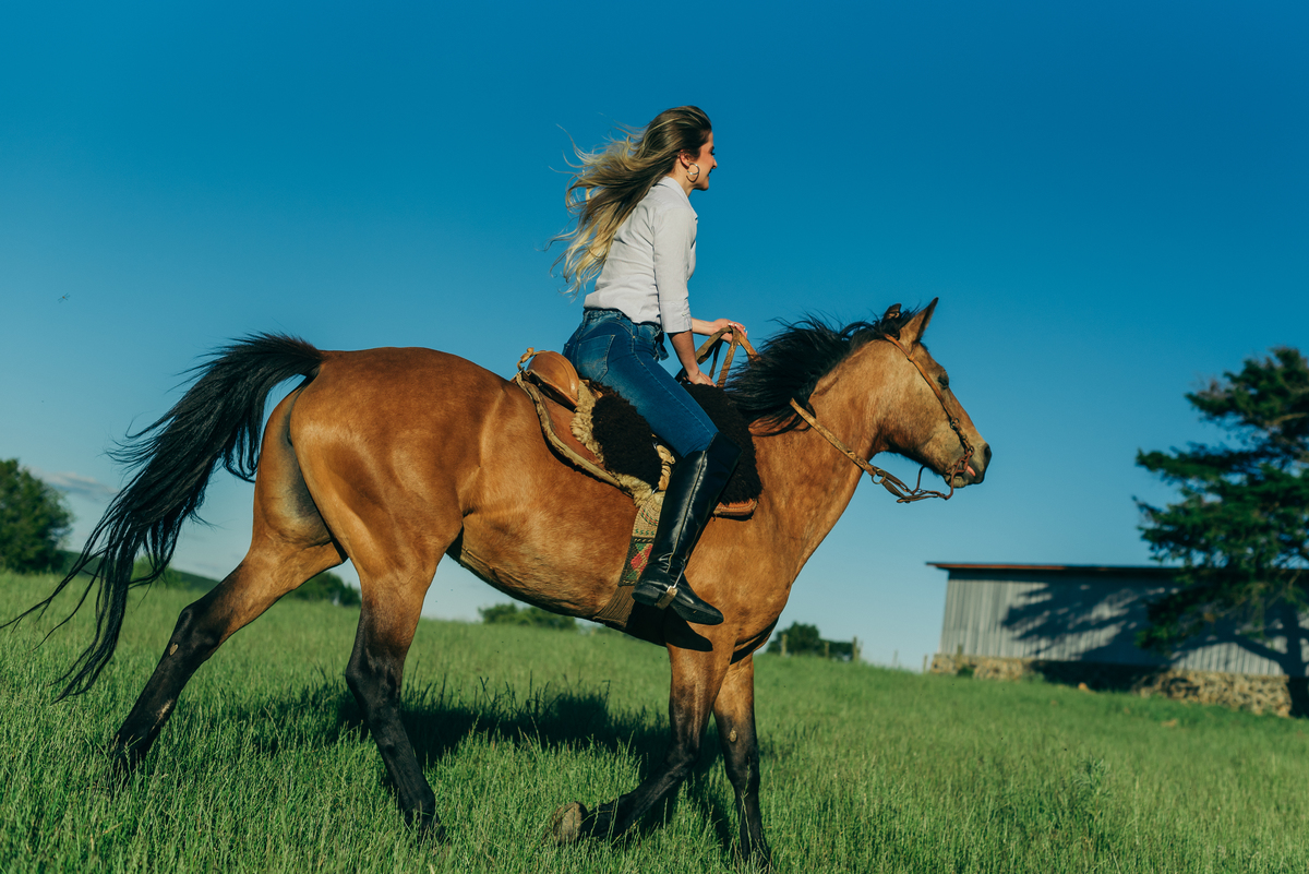 ensaio pré wedding daniela radavelli fotografia ensaio de casal fotos rurais ensaio pré casamento ensaio com cavalo ensaio no campo
