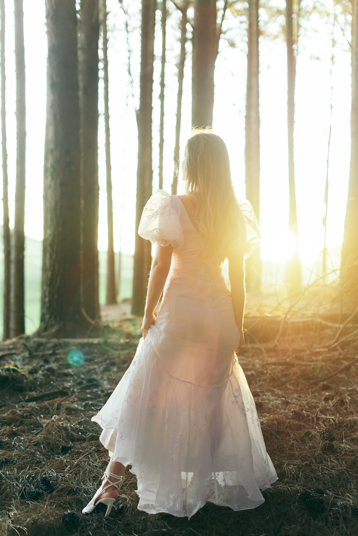 ensaio pré wedding daniela radavelli fotografia ensaio de casal ensaio pré casamento ensaio no bosque fotos no por do sol