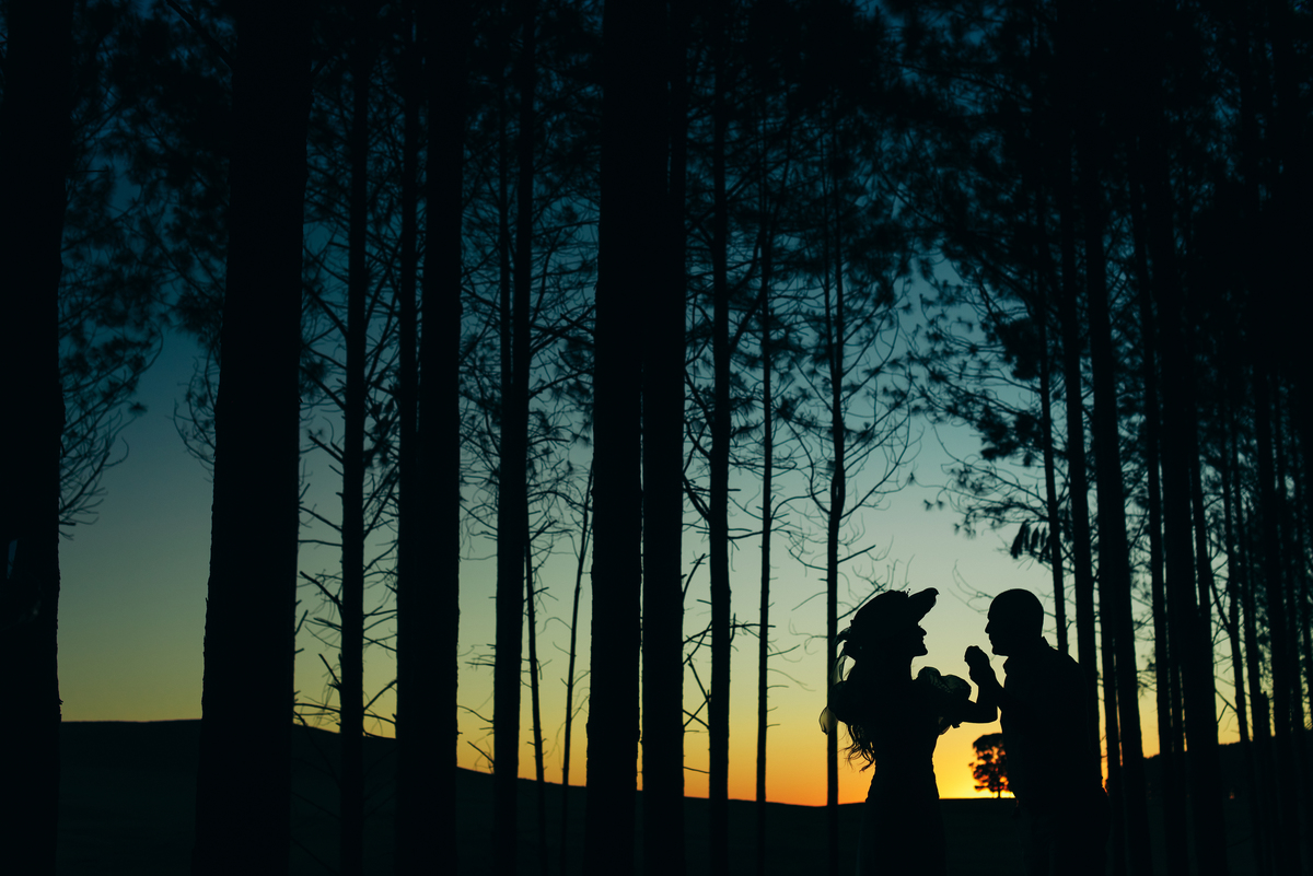 ensaio pré wedding daniela radavelli fotografia ensaio de casal ensaio pré casamento ensaio no bosque fotos no por do sol