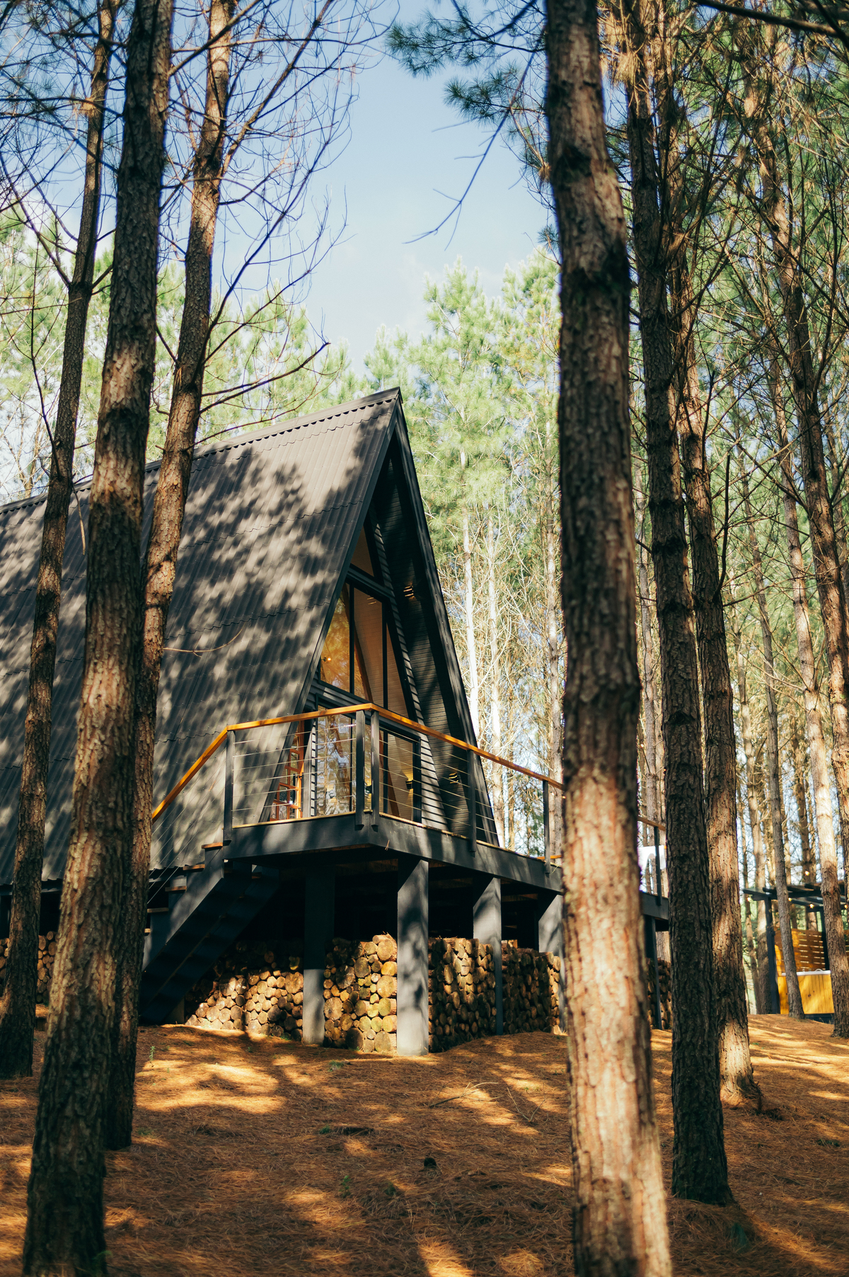 ensaio pre casamento cabana alameda São Francisco de Paula ensaio pre wedding daniela radavelli fotógrafa 