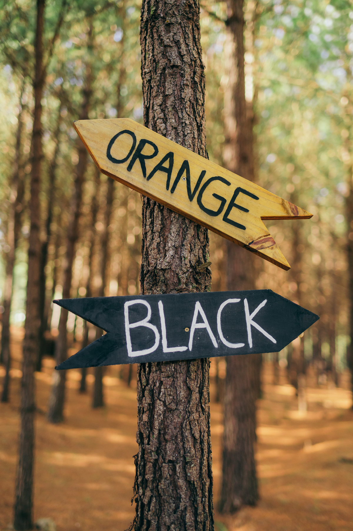 ensaio pre casamento cabana alameda São Francisco de Paula ensaio pre wedding daniela radavelli fotógrafa 