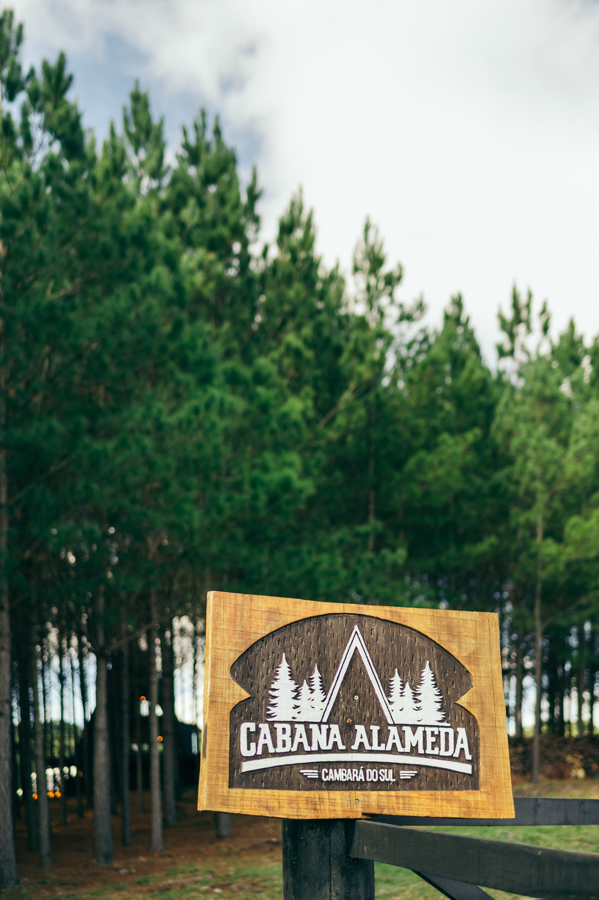 ensaio pre casamento cabana alameda São Francisco de Paula ensaio pre wedding daniela radavelli fotógrafa 