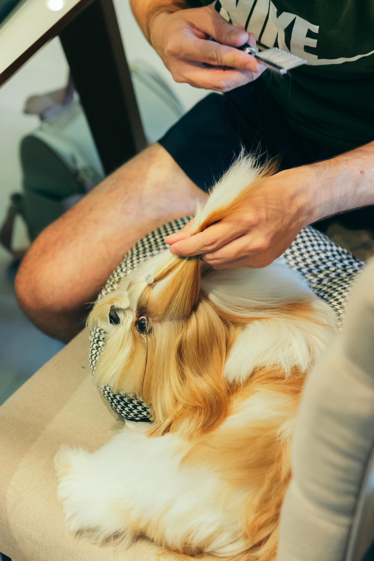 making of noivo doguinho no casamento cerimonia externa casamento de dia daniela radavelli fotografia