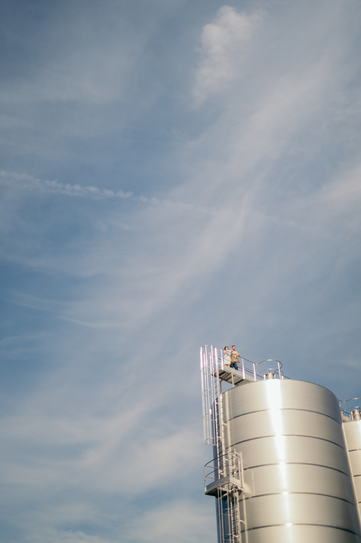 ensaio de casal em Monte Belo do Sul pré wedding na Serra Gaúcha daniela radavelli fotografia fotos com vinho e parreiral 